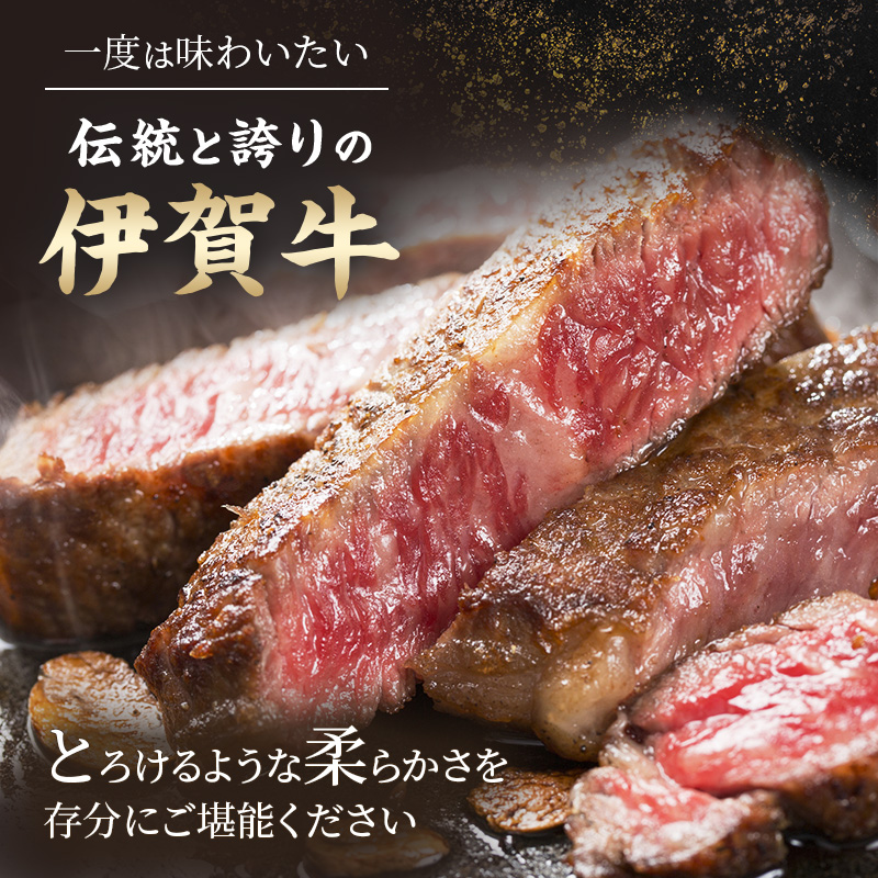 伊賀忍者ビーフヒレステーキコース・3-ひ