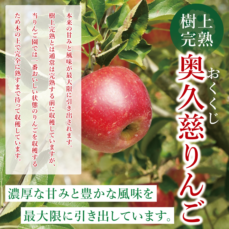 【数量限定】【三村観光りんご園】【10月より順次発送予定】樹上完熟！奥久慈りんご＆贅沢ジュース（品種おまかせ約2kg＆720ml×1本）｜茨城県 大子町 林檎 旬 果物 フルーツ 果実 果汁 飲料 セット 詰合せ ギフト 贈答(BX008)