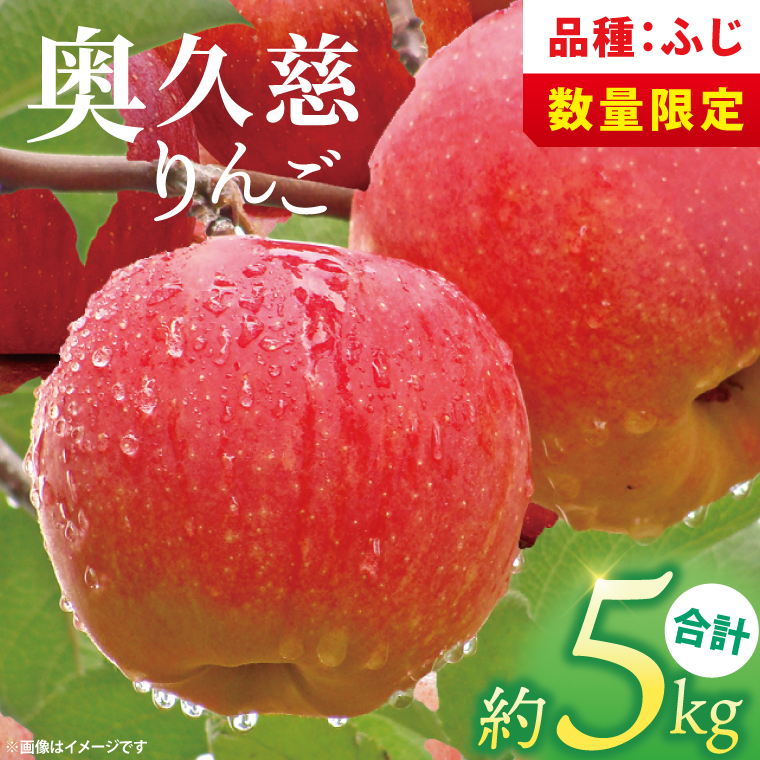 【数量限定】【11月より順次発送予定】三村観光りんご園の奥久慈りんご「ふじ」約5kg｜茨城県 大子町 林檎 旬 果物 フルーツ 果実 果汁 ギフト 贈答 甘い ジューシー みずみずしい（BX010）