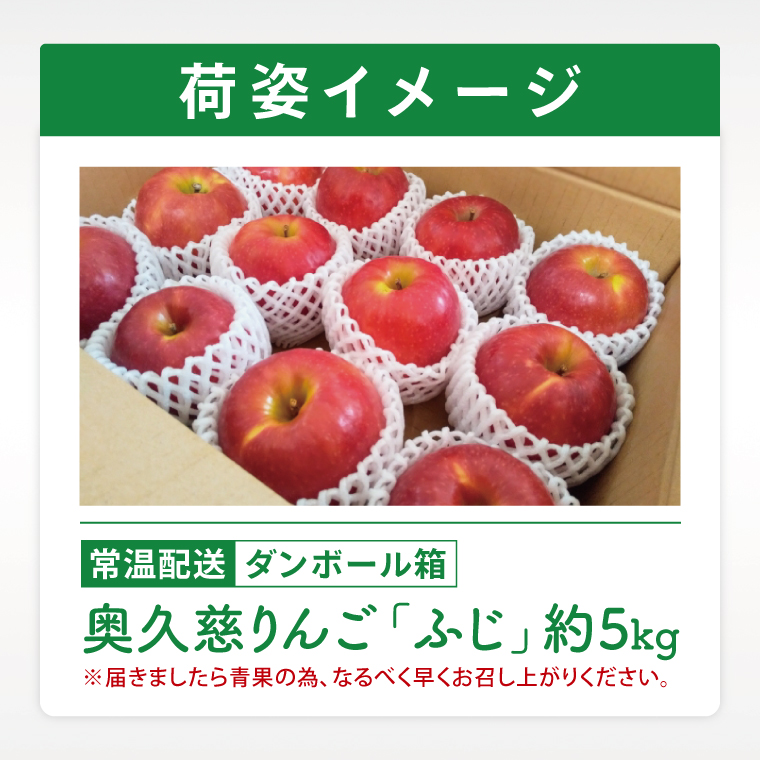 【数量限定】【11月より順次発送予定】三村観光りんご園の奥久慈りんご「ふじ」約5kg｜茨城県 大子町 林檎 旬 果物 フルーツ 果実 果汁 ギフト 贈答 甘い ジューシー みずみずしい（BX010）
