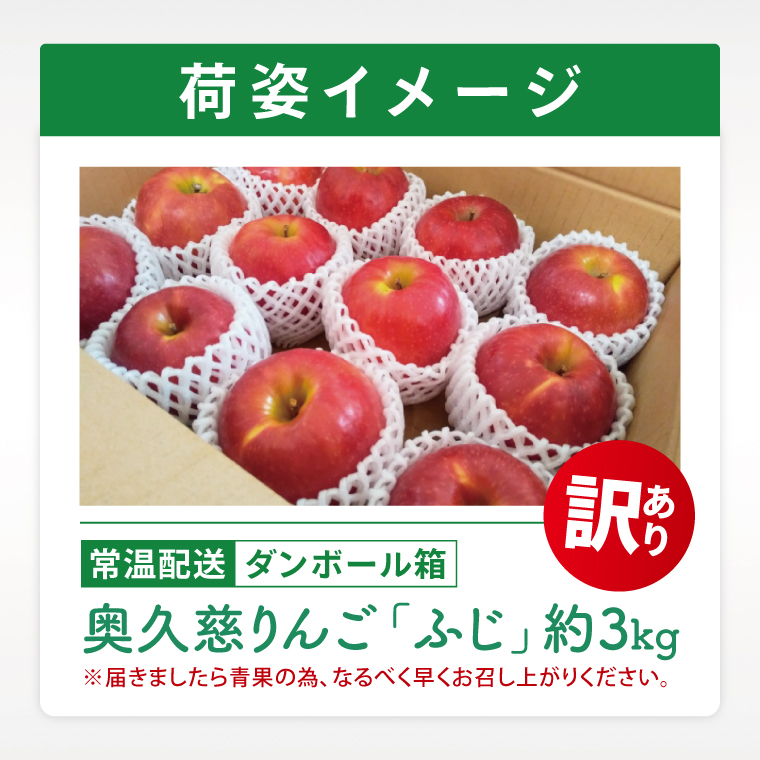 【訳あり】【11月より順次発送予定】三村観光りんご園の奥久慈りんご「ふじ」約3kg｜不揃い 規格外 傷あり 色むら 家庭用 茨城県 大子町 林檎 旬 果物 フルーツ 果実 フルーツ 甘い ジューシー みずみずしい(BX011)