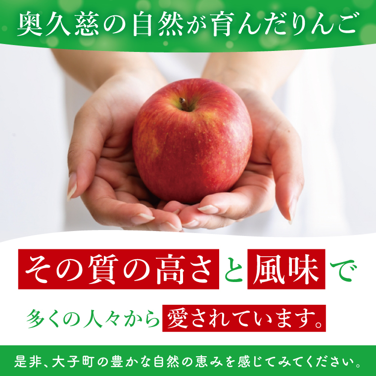 【訳あり】【11月より順次発送予定】三村観光りんご園の奥久慈りんご「ふじ」約3kg｜不揃い 規格外 傷あり 色むら 家庭用 茨城県 大子町 林檎 旬 果物 フルーツ 果実 フルーツ 甘い ジューシー みずみずしい(BX011)