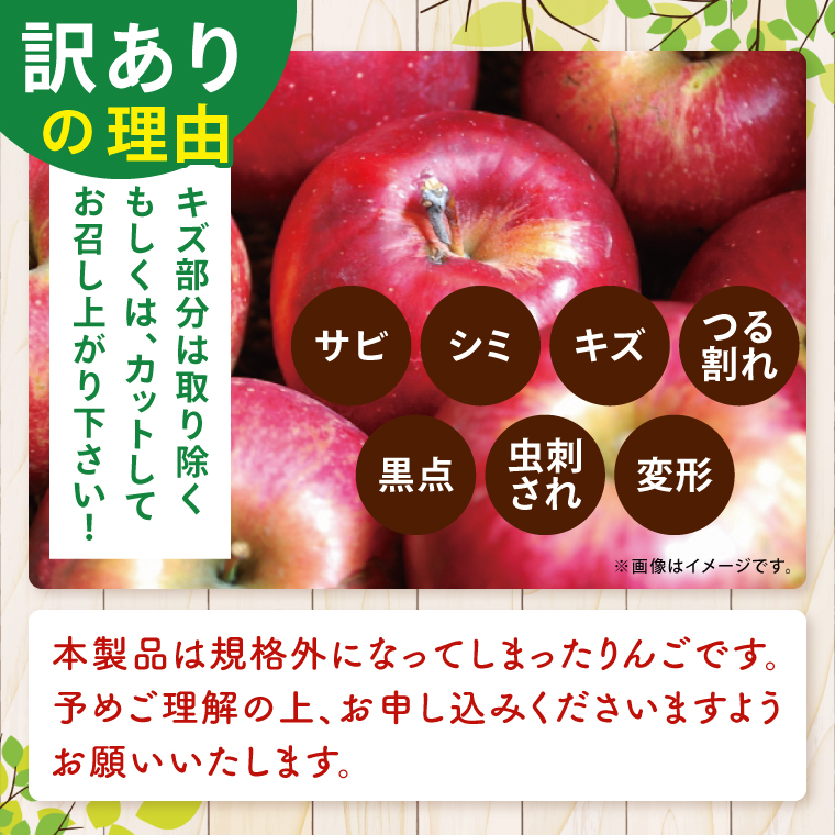 【訳あり】【11月より順次発送予定】三村観光りんご園の奥久慈りんご「ふじ」約5kg｜不揃い 規格外 傷あり 色むら 家庭用 茨城県 大子町 林檎 旬 果物 フルーツ 果実 フルーツ 甘い ジューシー みずみずしい(BX012)