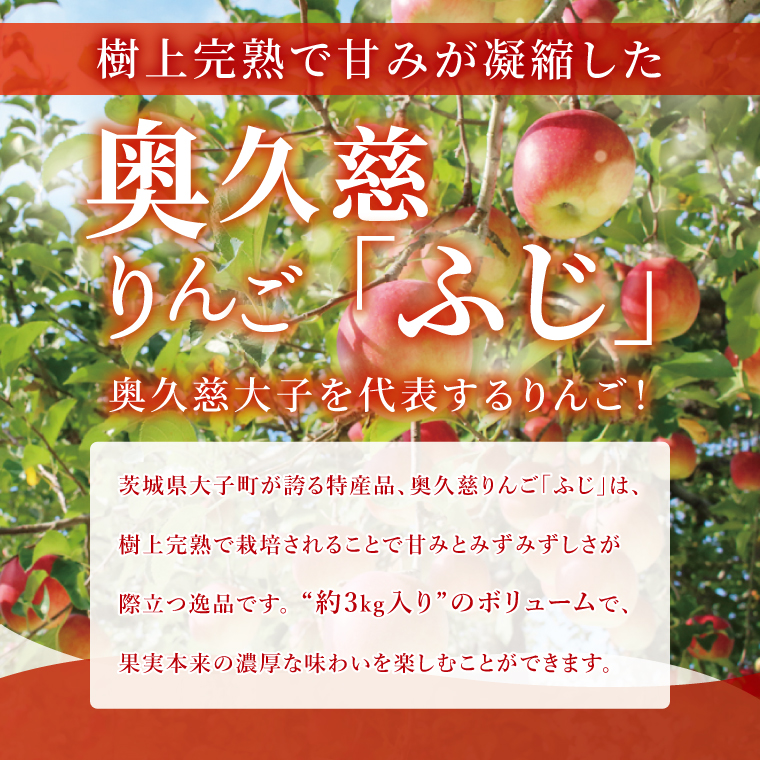 【訳あり】【11月より順次発送予定】三村観光りんご園の奥久慈りんご「ふじ」約5kg｜不揃い 規格外 傷あり 色むら 家庭用 茨城県 大子町 林檎 旬 果物 フルーツ 果実 フルーツ 甘い ジューシー みずみずしい(BX012)