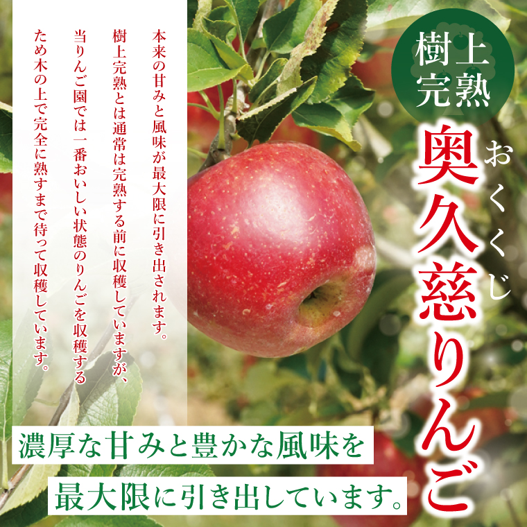 【訳あり】【11月より順次発送予定】三村観光りんご園の奥久慈りんご「ふじ」約5kg｜不揃い 規格外 傷あり 色むら 家庭用 茨城県 大子町 林檎 旬 果物 フルーツ 果実 フルーツ 甘い ジューシー みずみずしい(BX012)