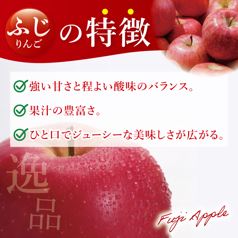 【訳あり】【11月より順次発送予定】三村観光りんご園の奥久慈りんご「ふじ」約5kg｜不揃い 規格外 傷あり 色むら 家庭用 茨城県 大子町 林檎 旬 果物 フルーツ 果実 フルーツ 甘い ジューシー みずみずしい(BX012)