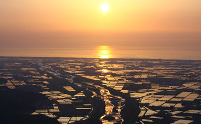 石川県産コシヒカリ 姫九谷(精米) 5kg お米 