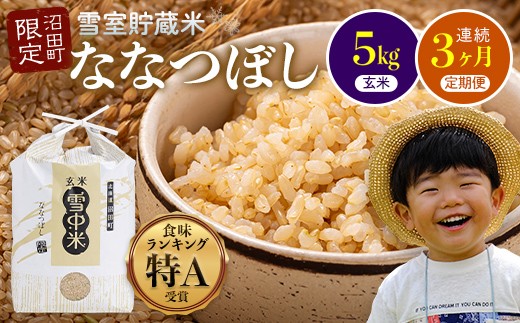 ykCczy3zȂȂڂ  5kg(5kg×1) 5Jn AN ߘa7NY C  ᒆ kC nr-1152
