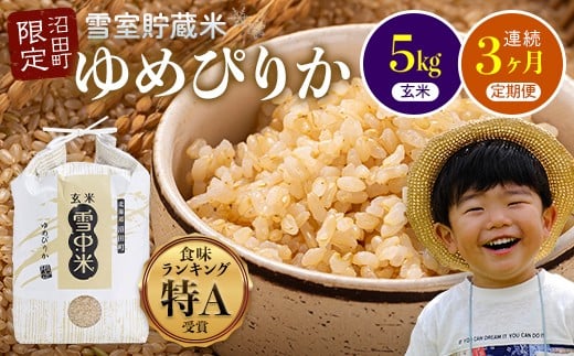 [数量限定][令和8年6月発送開始定期便]令和7年度産 春摺り 雪中米 ゆめぴりか 玄米 5kg × 3回 計15kg 3か月連続定期便 定期便 定期 米 nr-1398