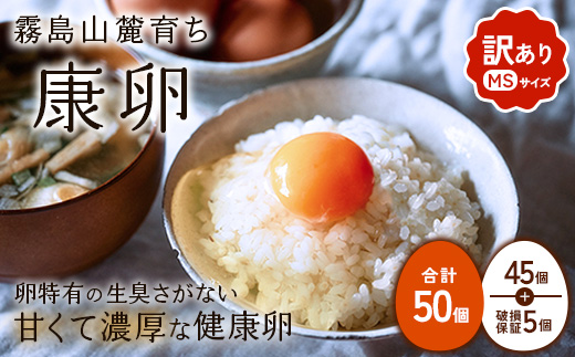 y{茧т̎sz킯肽܂ N MSTCY 50i45 + ۏ 5j R[炿 藑 ܂ ʎq Ă ʎqĂ ܂Ă { ܂ 