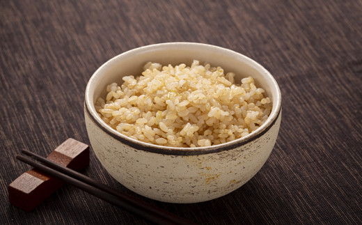 【定期便4ヶ月】ななつぼし 玄米 20kg(10kg×2袋) 5月発送開始 特Aランク米 令和7年産 雪冷気 籾貯蔵 雪中米 北海道 nr-1301