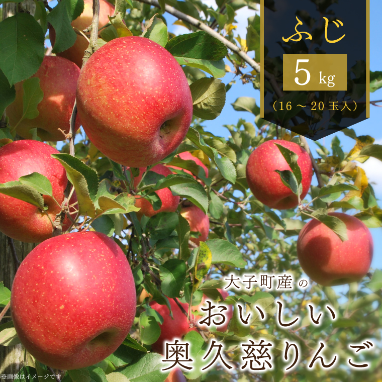 y錧qzy2025N11{ȍ~zqŶv񂲁iӂj5kgb錧 q v  S tW ӂ   t[c ӂ[ ʎ   ʕiAH010j