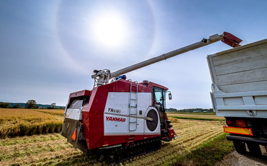 【定期便3ヶ月】ななつぼし 精米 20kg（10kg×2袋） 5月発送開始 雪冷気 籾貯蔵 雪中米 北海道 nr-0848