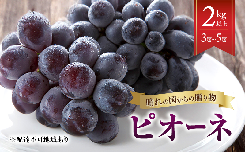 yRzy2026Ns\z Ԃǂ RY ̍ 蕨 sI[l 2kgȏi3[`5[j s2026N8{-9{oׁt  t[c ʕ XC[c ʌ Ԍ R 