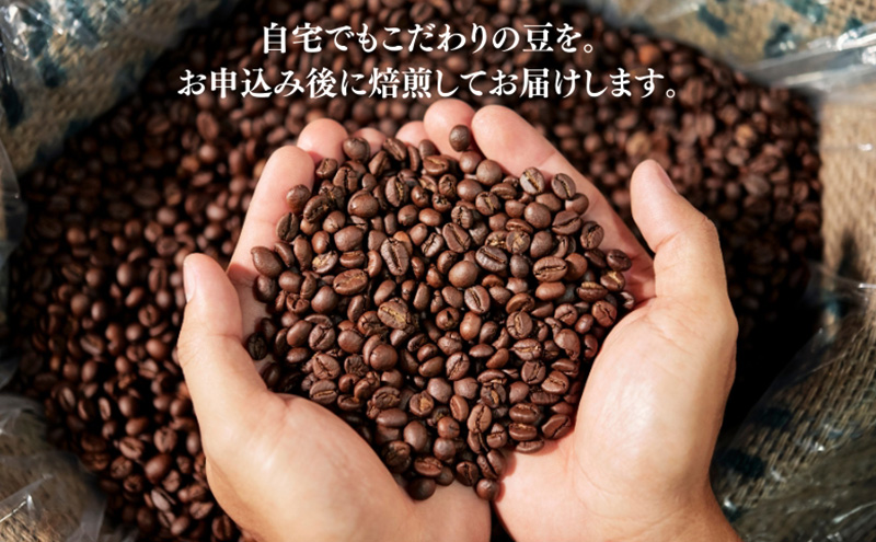 自家焙煎珈琲豆セット 定番セットB「クラシック」| コーヒー 珈琲 珈琲豆 豆 焙煎 セット 南丹市