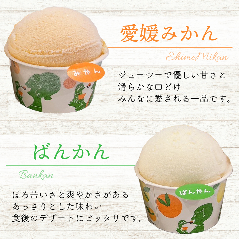 柑橘 カップ アイス 14個 (4種) 【 夢オレンジ 河内晩柑 愛媛みかん しらぬい 】 アイス ジェラート シャーベット ソルベ アイスクリーム ランキング 人気 贈答用 プレゼント みかん 柑橘 かんきつ まどんな 紅マドンナ 夢オレンジ 愛果28号 愛南ゴールド 不知火 デコポン 温州みかん 冷凍 みかん職人武田屋 愛媛県 愛南町