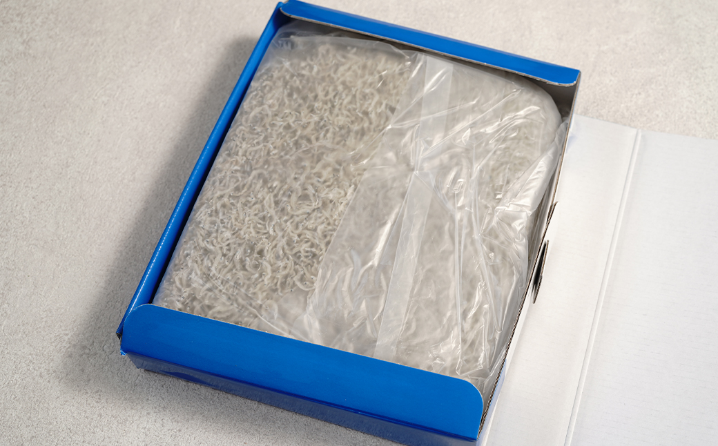 淡路島産ちりめんじゃこ 500ｇ 化粧箱入