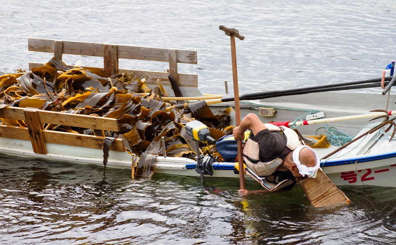 北海道 礼文島産 天然 利尻だし昆布 170g×1袋　利尻昆布 昆布 こんぶ コンブ 出汁 だし だし昆布 礼文町
