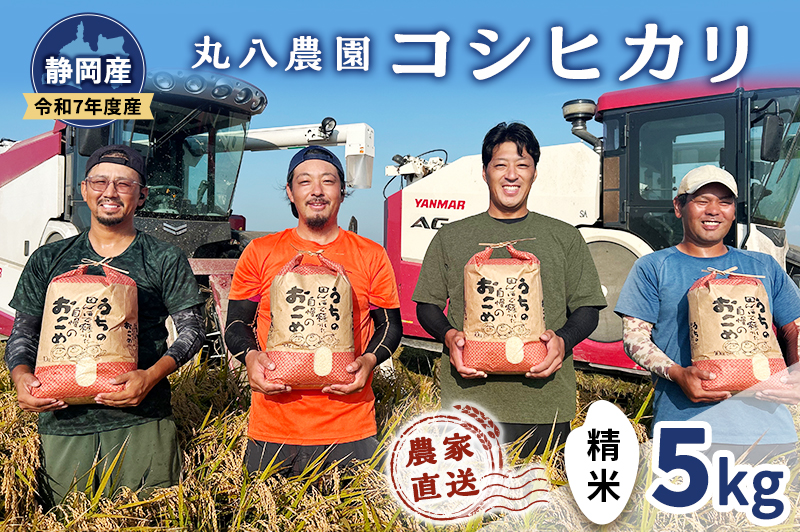 お米 令和7年度産静岡産コシヒカリ精米5kg 米 コメ こしひかり コシヒカリ 精米 白米 袋井市 静岡県