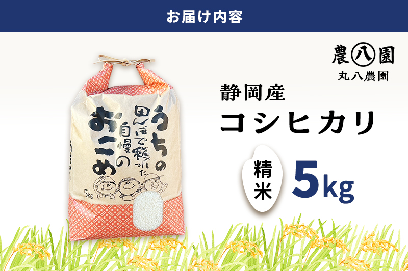 お米 令和7年度産静岡産コシヒカリ精米5kg 米 コメ こしひかり コシヒカリ 精米 白米 袋井市 静岡県