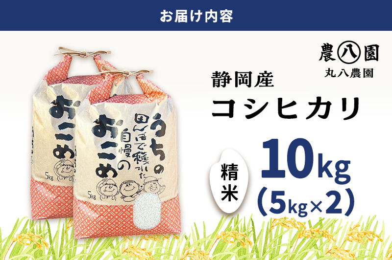 お米 令和7年度産静岡産コシヒカリ精米5kg×2 米 コメ こしひかり コシヒカリ 精米 白米 袋井市 静岡県