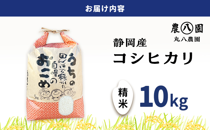 お米 令和7年度産静岡産コシヒカリ精米 10kg 米 コメ こしひかり コシヒカリ 精米 白米 袋井市 静岡県