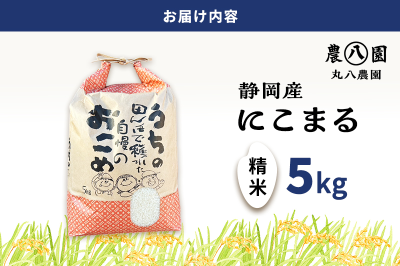 お米 令和7年度産静岡産にこまる精米5kg 米 コメ にこまる 精米 白米 袋井市 静岡県