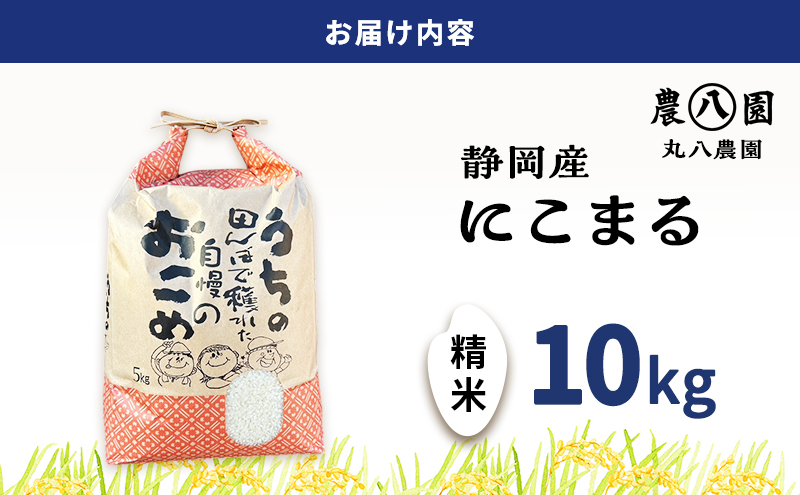 お米 令和7年度産静岡産にこまる精米 10kg 米 コメ にこまる 精米 白米 袋井市 静岡県