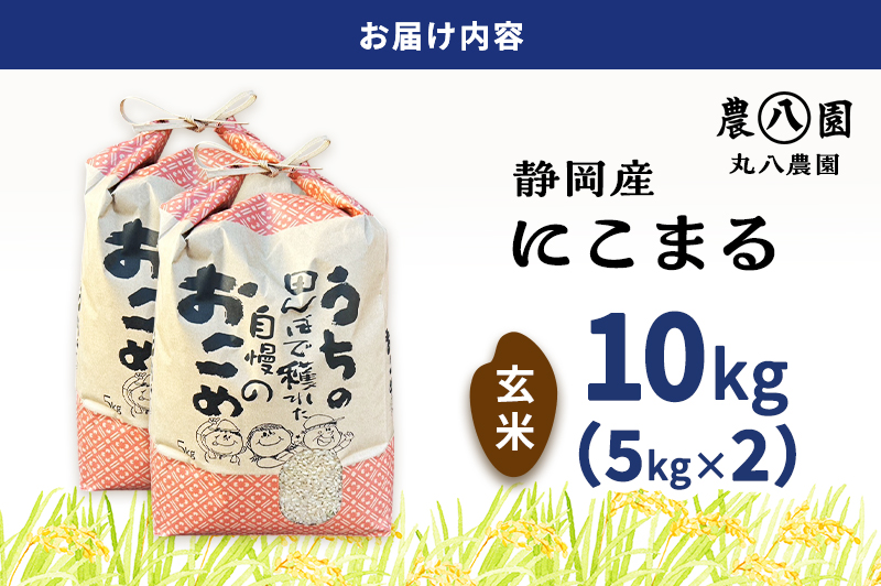 お米 令和7年度産静岡産にこまる玄米5kg×2 米 コメ にこまる 玄米 袋井市 静岡県