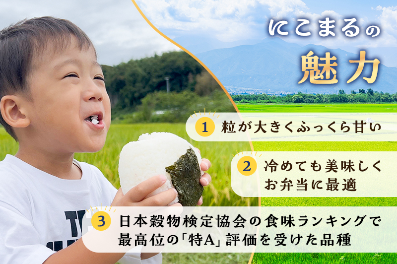 お米 令和7年度産静岡産コシヒカリ・にこまる精米食べ比べセット各5kg 計10kg 米 コメ こしひかり コシヒカリ にこまる 精米 白米 食べ比べ 袋井市 静岡県