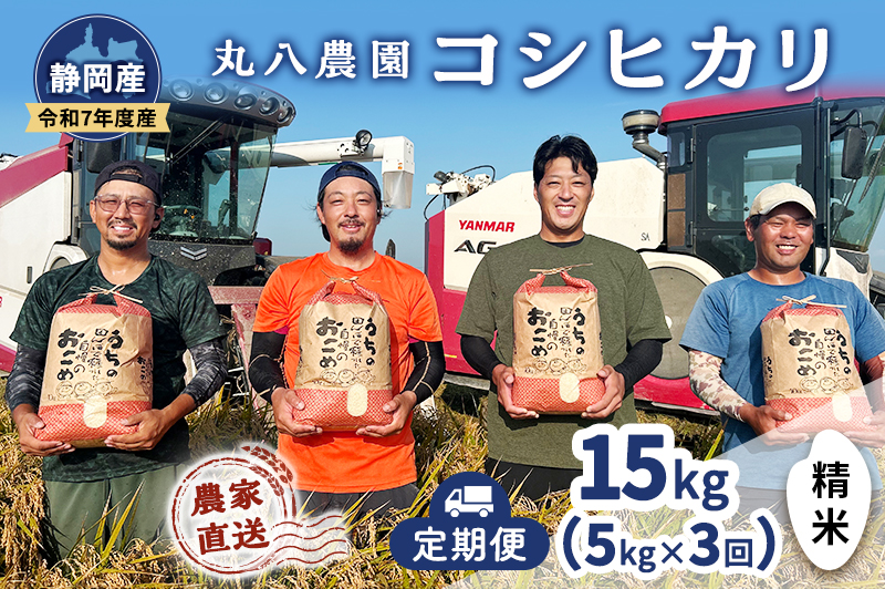 お米 （定期便3回）令和7年度産静岡県産コシヒカリ精米5kg×3 計15kg 米 コメ こしひかり コシヒカリ 精米 白米 定期便 袋井市 静岡県