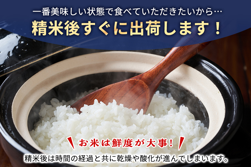 お米 令和7年度産静岡産にこまる精米5kg 米 コメ にこまる 精米 白米 袋井市 静岡県
