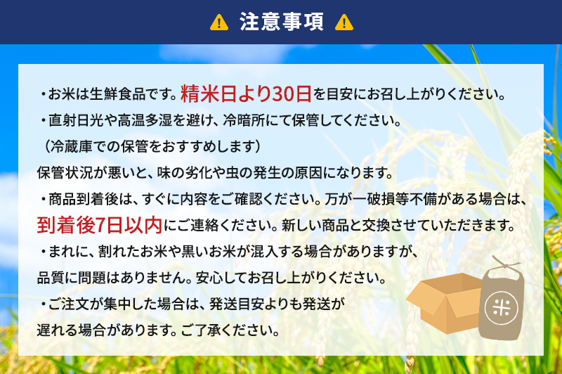 お米 令和7年度産静岡産にこまる玄米5kg×2 米 コメ にこまる 玄米 袋井市 静岡県