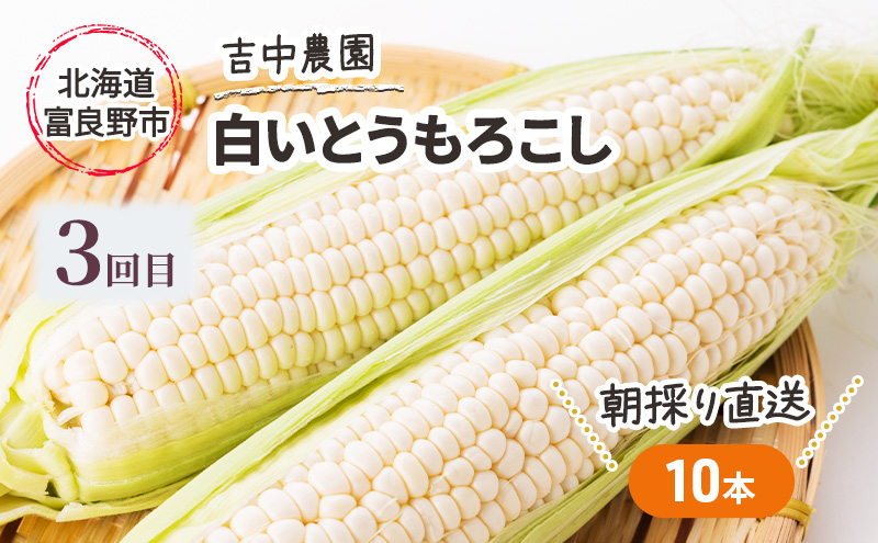 【年3回定期便】【2026年5～8月お届け】北海道 富良野 直送！ 旬の新鮮 夏野菜 厳選 3農家 スペシャルコラボ 定期便 (アスパラガス 赤肉メロン とうもろこし 北海道 富良野市 野菜 果物 フルーツ 甘い 新鮮 益田農園 丸山農園 吉中農園)