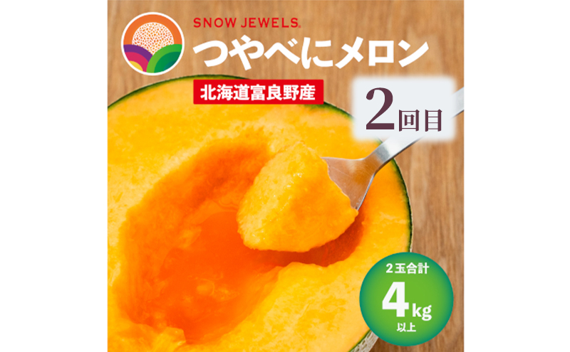 【定期便3回】富良野の夏を独り占め！富良野メロン×至福のアイス "とろける定期便" メロン 赤肉 大玉 果物 アイス アイスクリーム デザート おやつ ご褒美 冷凍 定期便 産地直送