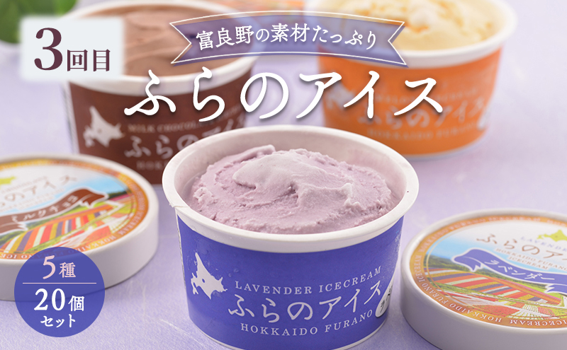 【定期便3回】富良野の夏を独り占め！富良野メロン×至福のアイス "とろける定期便" メロン 赤肉 大玉 果物 アイス アイスクリーム デザート おやつ ご褒美 冷凍 定期便 産地直送