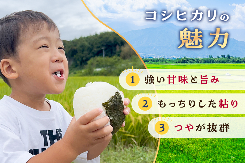 お米 令和7年度産静岡産コシヒカリ精米5kg×2 米 コメ こしひかり コシヒカリ 精米 白米 袋井市 静岡県