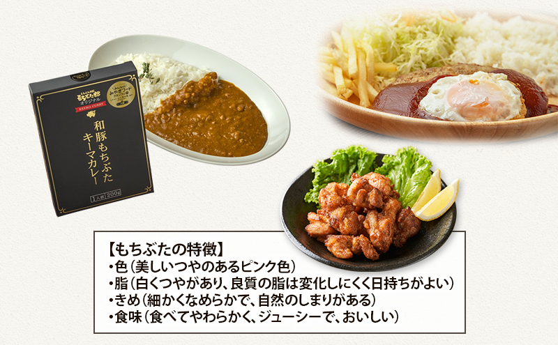 【3ヵ月定期便】全3回 和豚もちぶた 惣菜3種 ハンバーグ から揚げ カレー 夕飯 時短 小分け 簡単 レンチン  レトルト 和豚 豚肉 ポーク 肉 豚 アウトドア お弁当 もちぶた館 大河原町