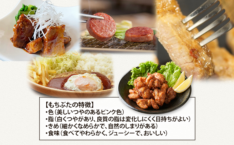 【5ヵ月定期便】全5回 和豚もちぶた 惣菜5種 角煮 ボロニアソーセージ 2種 味噌塩糀漬け ハンバーグ から揚げ 夕飯 時短 小分け 簡単 レンチン  レトルト 和豚 豚肉 ポーク 肉 豚 アウトドア お弁当 もちぶた館 大河原町