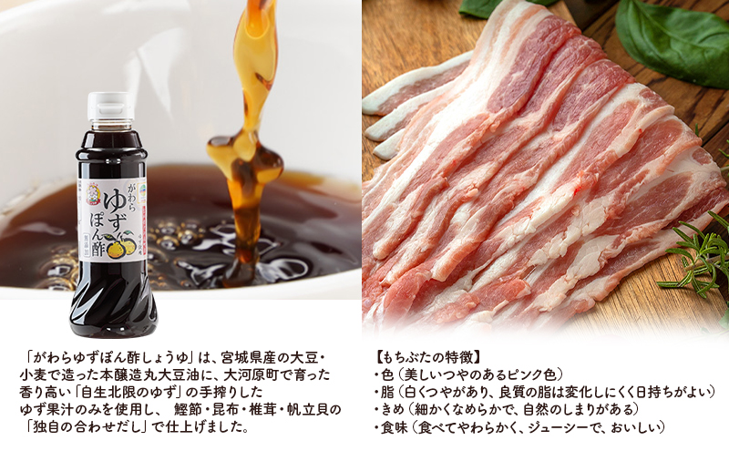 もちぶた バラ しゃぶしゃぶ 200g 2パック がわら ゆず ぽん酢 300ml×6本のセットをお届け【2品別送お届け】しゃぶしゃぶ 和豚 もち豚 豚肉 ポーク  調味料 ポン酢 ユズ 柚子 醤油