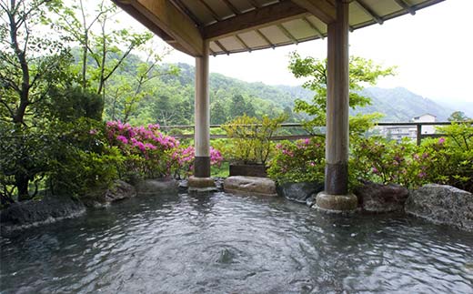 【高島屋選定品】花紫 平休日1泊2食付 ペア宿泊券《モダンJr.スイート》トラベル 宿泊 宿 温泉 宿泊券 旅行 F6P-2830