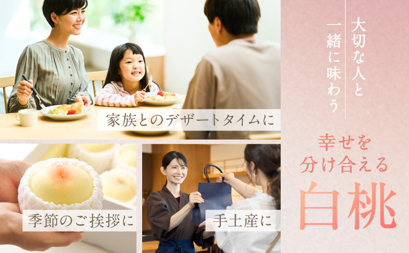 岡山県里庄町のふるさと納税 桃 2026年 先行予約 白桃 3玉 合計約800g もも モモ 岡山県産 国産 フルーツ 果物 ギフト