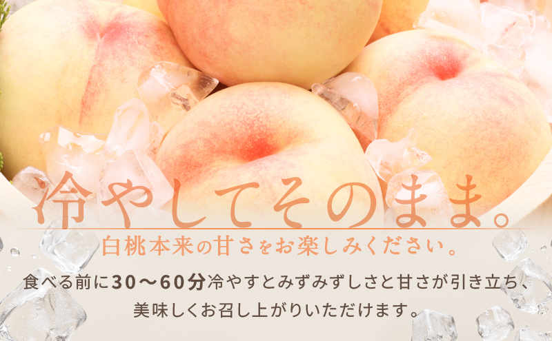 桃 2026年 先行予約 白桃 3玉 合計約800g もも モモ 岡山県産 国産 フルーツ 果物 ギフト