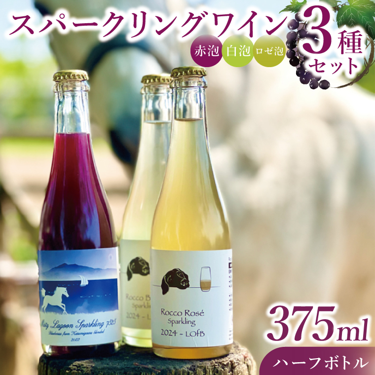 スパークリングワイン「泡3種セット」｜ワイン スパークリングワイン ボトルワイン 酒 お酒 酒類 ボトル ぶどう ブルーベリー ロゼ セット ワインセット 茨城県 行方市(GQ-6)
