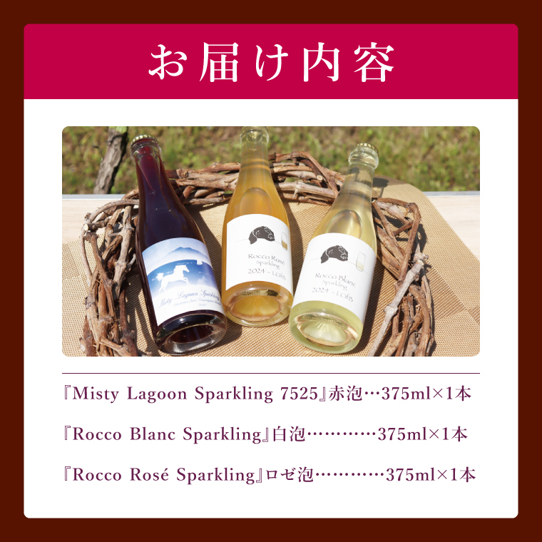 スパークリングワイン「泡3種セット」｜ワイン スパークリングワイン ボトルワイン 酒 お酒 酒類 ボトル ぶどう ブルーベリー ロゼ セット ワインセット 茨城県 行方市(GQ-6)