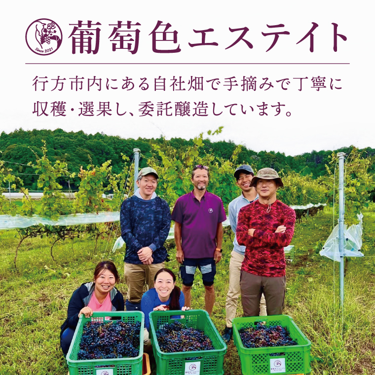 スパークリングワイン「泡3種セット」｜ワイン スパークリングワイン ボトルワイン 酒 お酒 酒類 ボトル ぶどう ブルーベリー ロゼ セット ワインセット 茨城県 行方市(GQ-6)