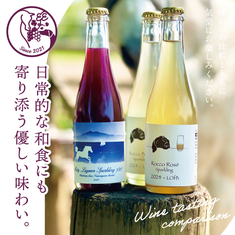 スパークリングワイン「泡3種セット」｜ワイン スパークリングワイン ボトルワイン 酒 お酒 酒類 ボトル ぶどう ブルーベリー ロゼ セット ワインセット 茨城県 行方市(GQ-6)