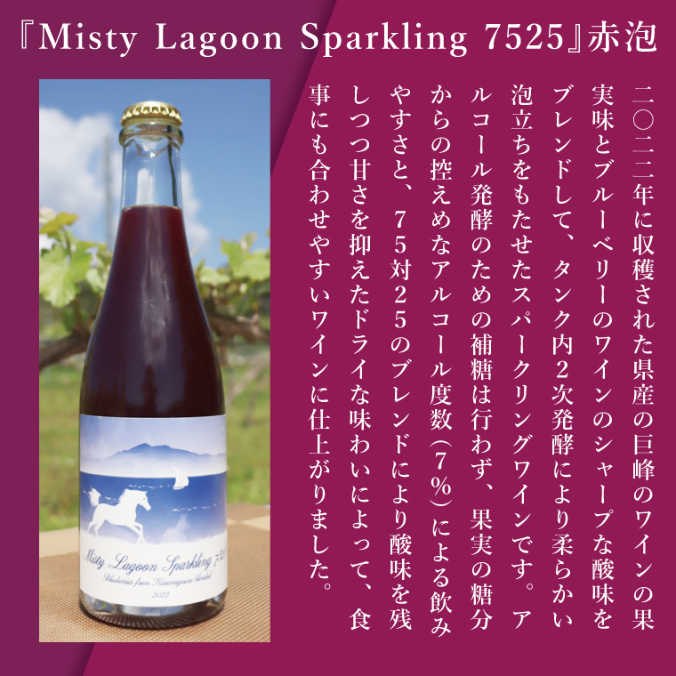 スパークリングワイン「泡3種セット」｜ワイン スパークリングワイン ボトルワイン 酒 お酒 酒類 ボトル ぶどう ブルーベリー ロゼ セット ワインセット 茨城県 行方市(GQ-6)