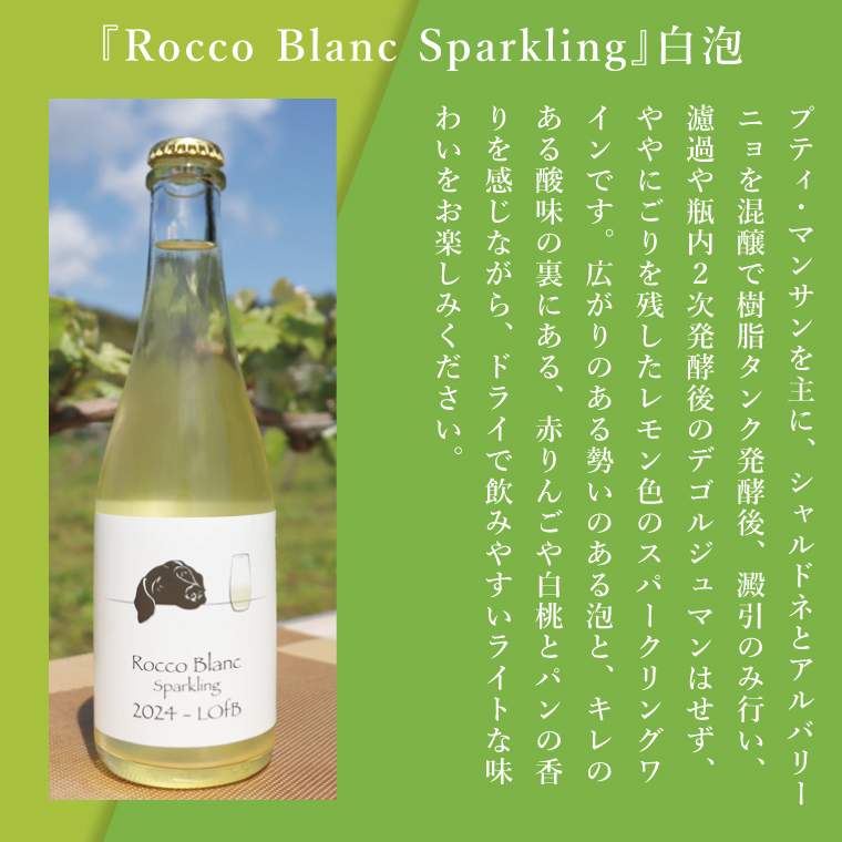 スパークリングワイン「泡3種セット」｜ワイン スパークリングワイン ボトルワイン 酒 お酒 酒類 ボトル ぶどう ブルーベリー ロゼ セット ワインセット 茨城県 行方市(GQ-6)