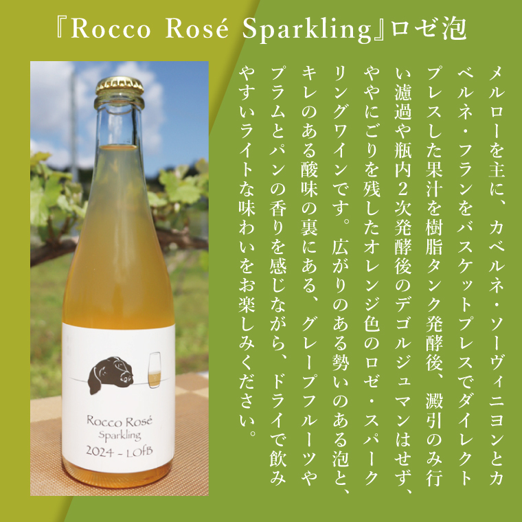 スパークリングワイン「泡3種セット」｜ワイン スパークリングワイン ボトルワイン 酒 お酒 酒類 ボトル ぶどう ブルーベリー ロゼ セット ワインセット 茨城県 行方市(GQ-6)